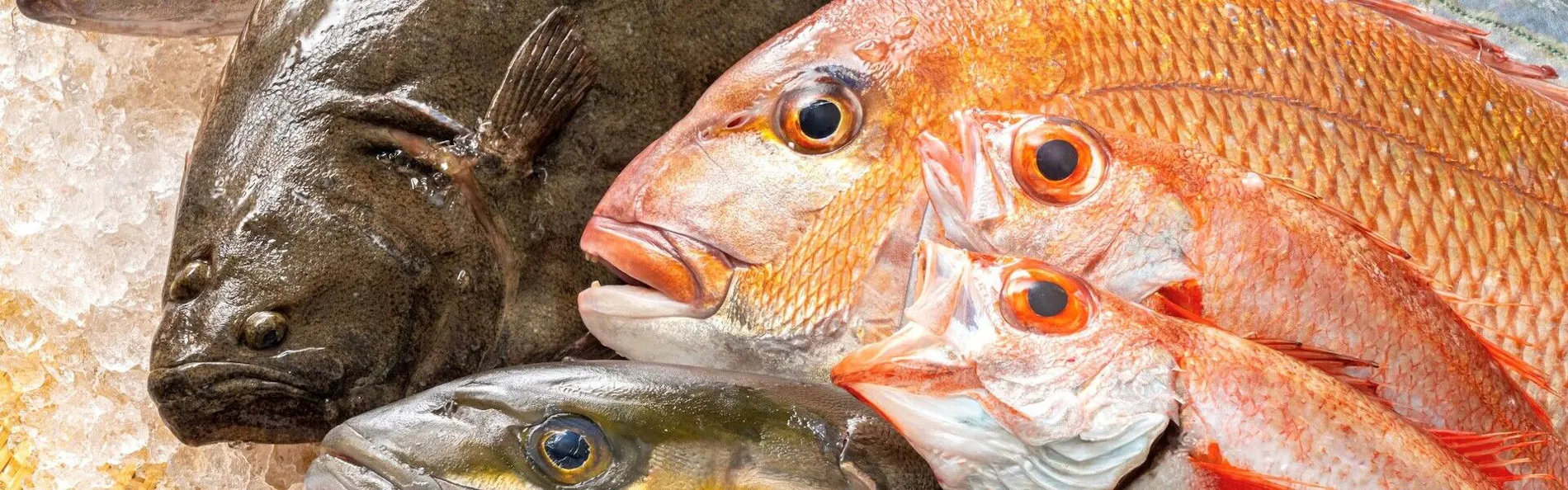 海辺のお宿 一久