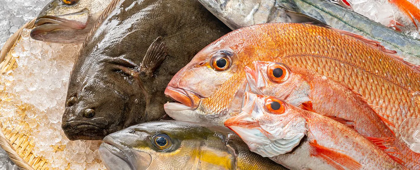 อาหารทะเลตามฤดูกาลจากทะเลญี่ปุ่น