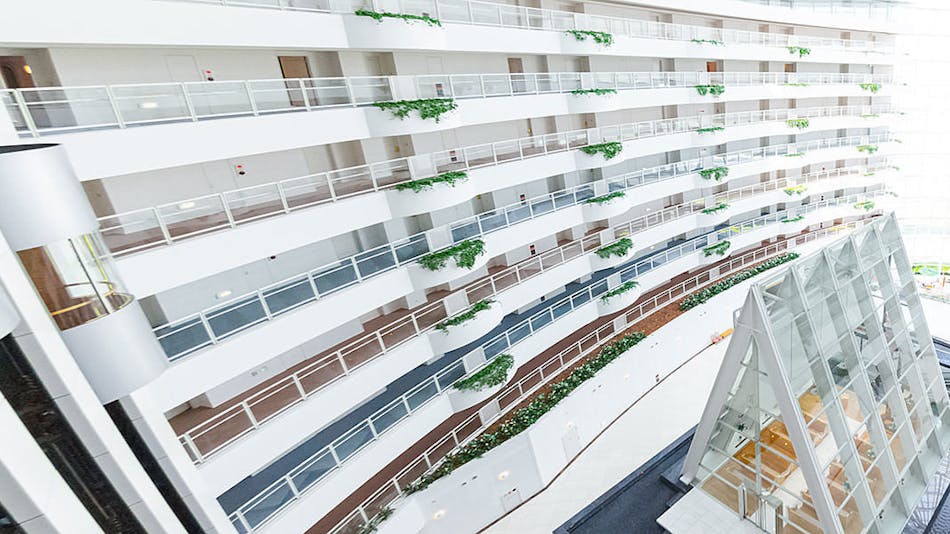 記念日特典付 鹿児島のカップル 夫婦におすすめのホテル 旅館 18選 お得に宿泊予約 Yahoo トラベル 記念日特典付 鹿児島のカップル 夫婦におすすめのホテル 旅館 18選 お得に宿泊予約 Yahoo トラベル