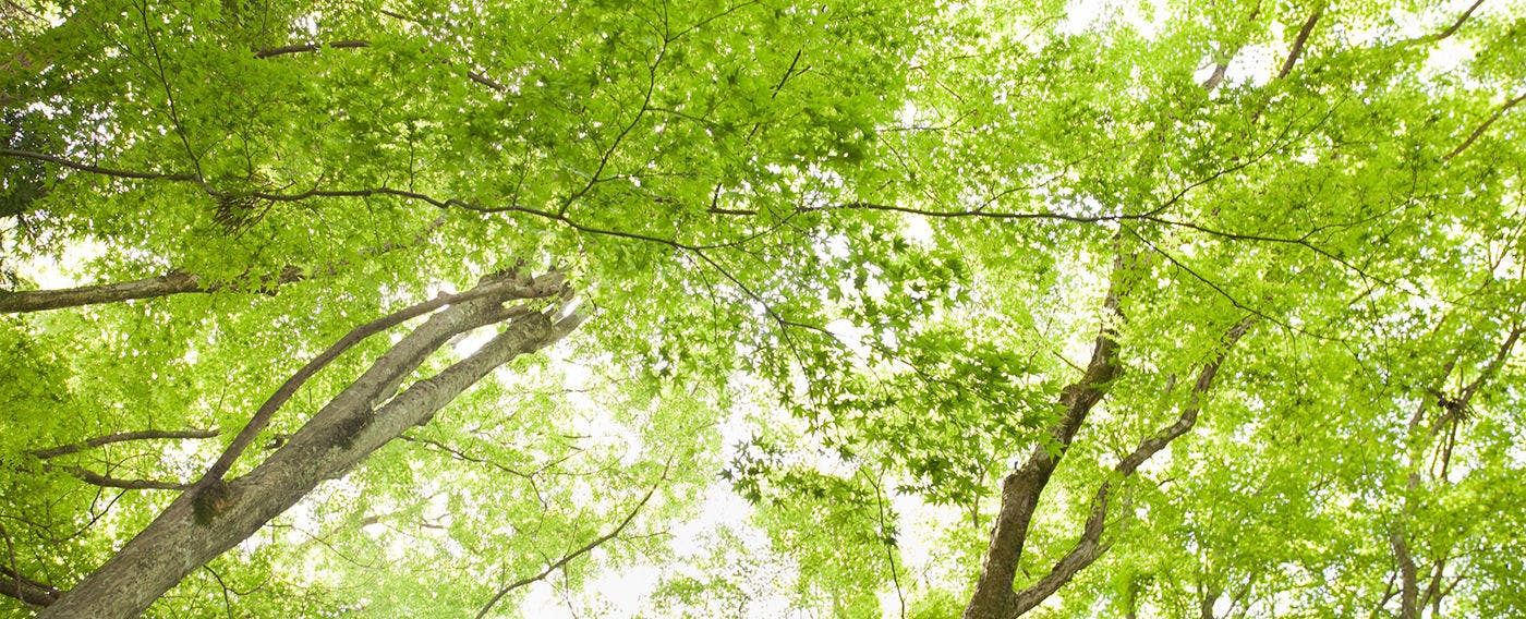 有馬山叢　御所別墅