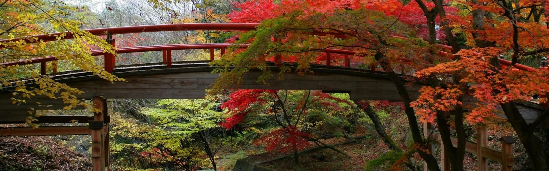 奥伊香保 旅邸 諧暢楼(かいちょうろう)