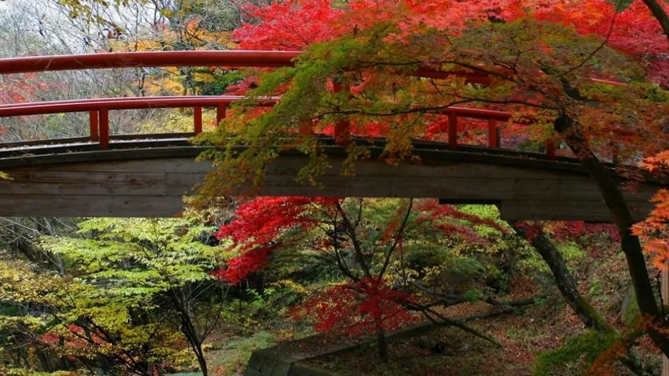 Oigami Onsen Ryotei Kaichoro