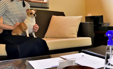 21年最新 滋賀周辺でペットと泊まれる宿ランキング 一休 Com 21年最新 滋賀周辺でペットと泊まれる宿ランキング 一休 Com