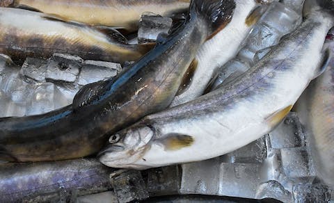 21年最新 滋賀周辺でペットと泊まれる宿ランキング 一休 Com 21年最新 滋賀周辺でペットと泊まれる宿ランキング 一休 Com