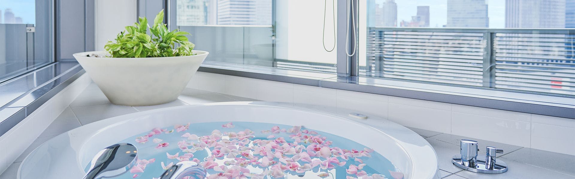 Harmonie Embrassee Osaka