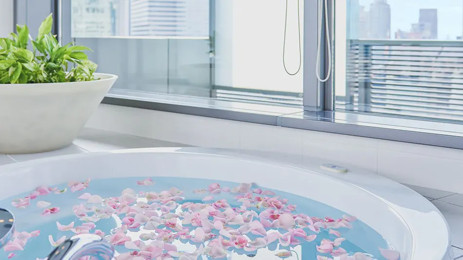 Harmonie Embrassee Osaka