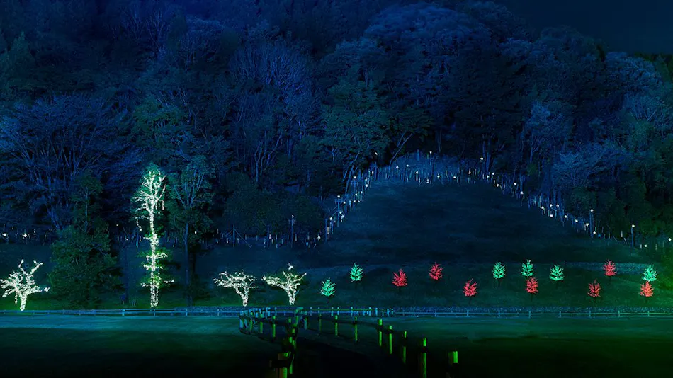 Menard Aoyama Resort