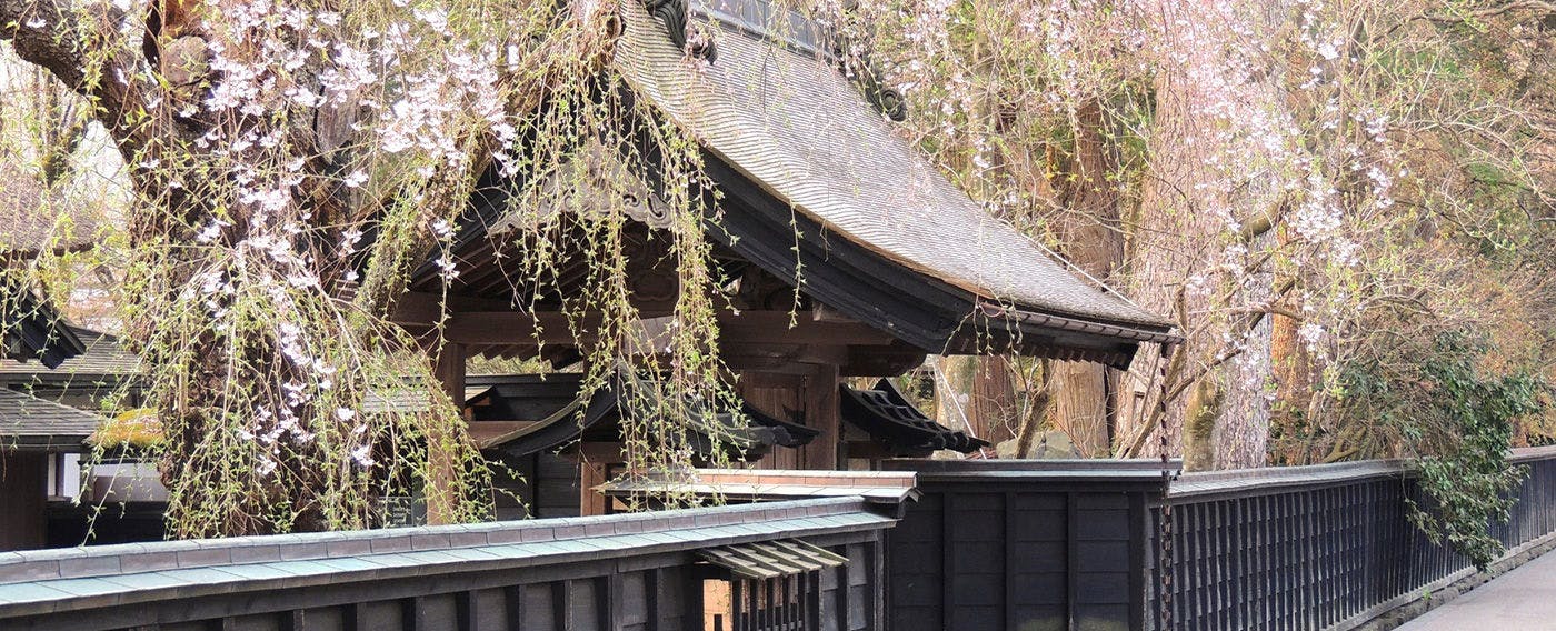 Desa Sejarah Kakunodate - Keluarga Aoyagi