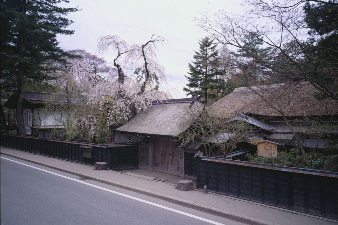 角館山荘　侘桜