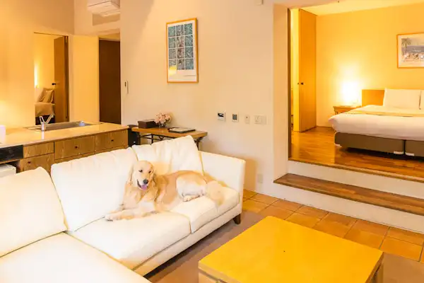 ห้องพัก