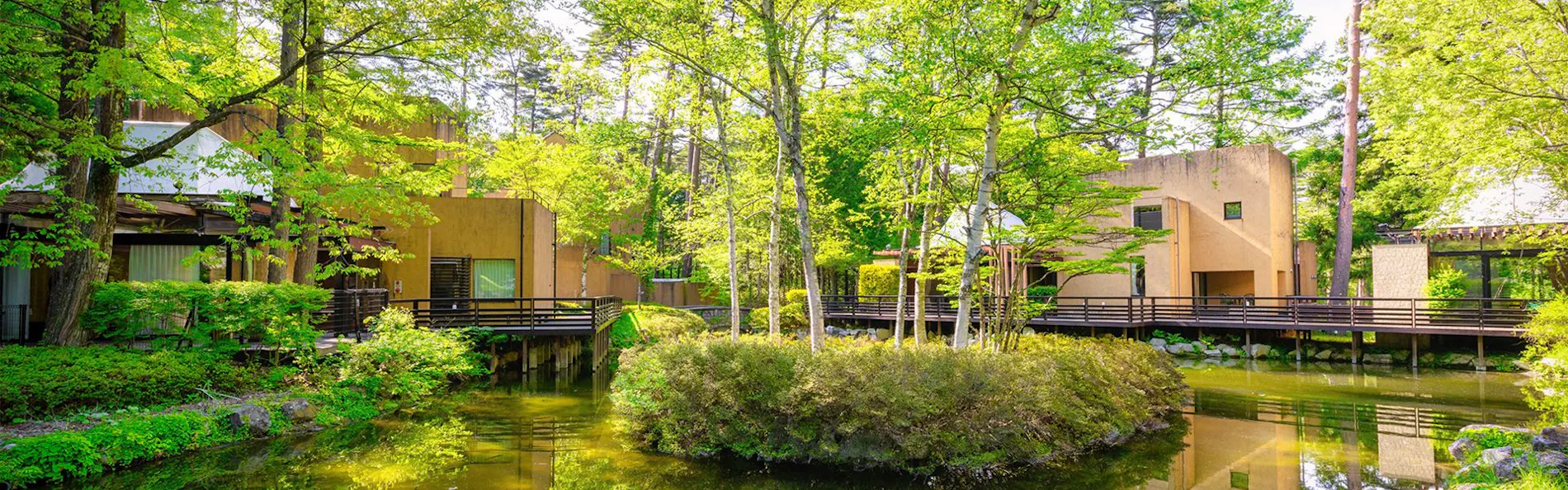 フォレストヴィレッジ