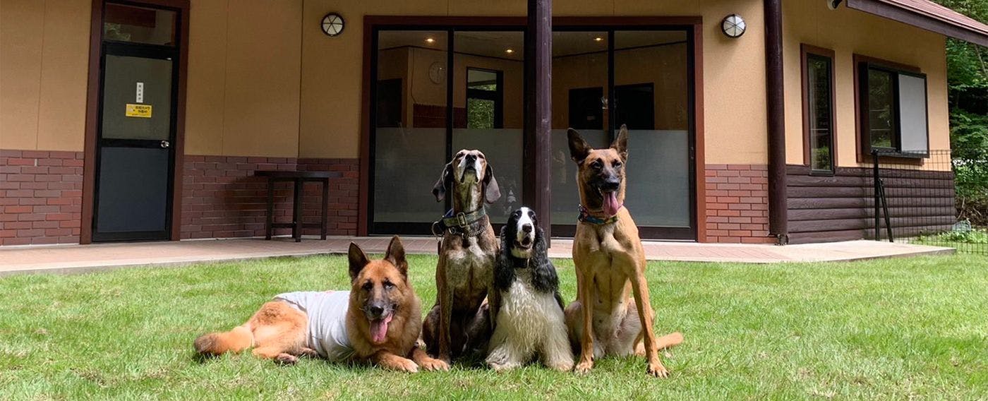 รูปภาพตัวอย่างของ One Braille