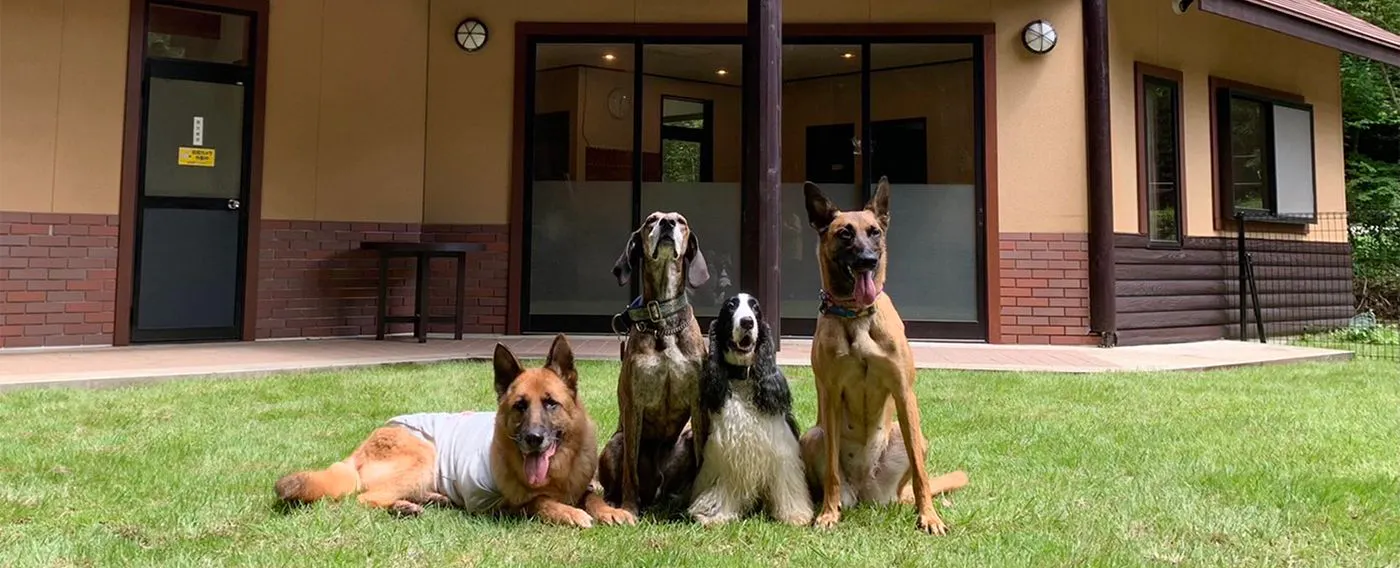 รูปภาพตัวอย่างของ One Braille