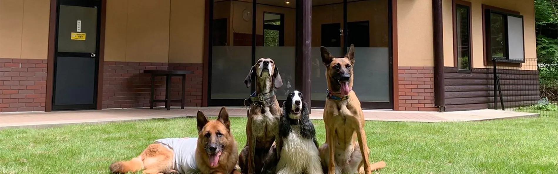 フォレストヴィレッジ