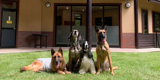 フォレストヴィレッジ~愛犬と泊まる森の隠れ家~