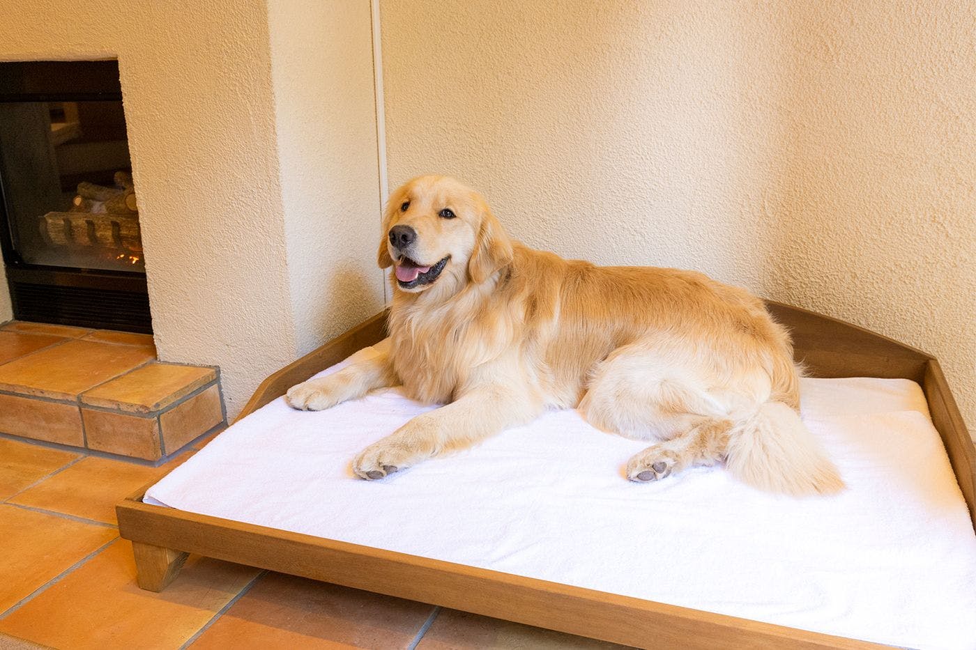 画像の内容がこちらで確認できません。翻訳する日本語本文が写っている画像を再アップロードするか、日本語テキストを貼り付けてください。改行もそのまま反映します。