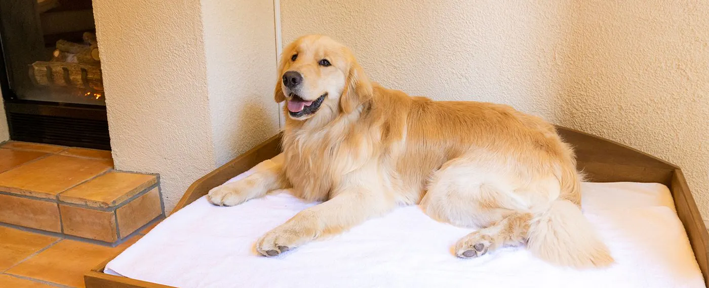 画像の内容がこちらで確認できません。翻訳する日本語本文が写っている画像を再アップロードするか、日本語テキストを貼り付けてください。改行もそのまま反映します。