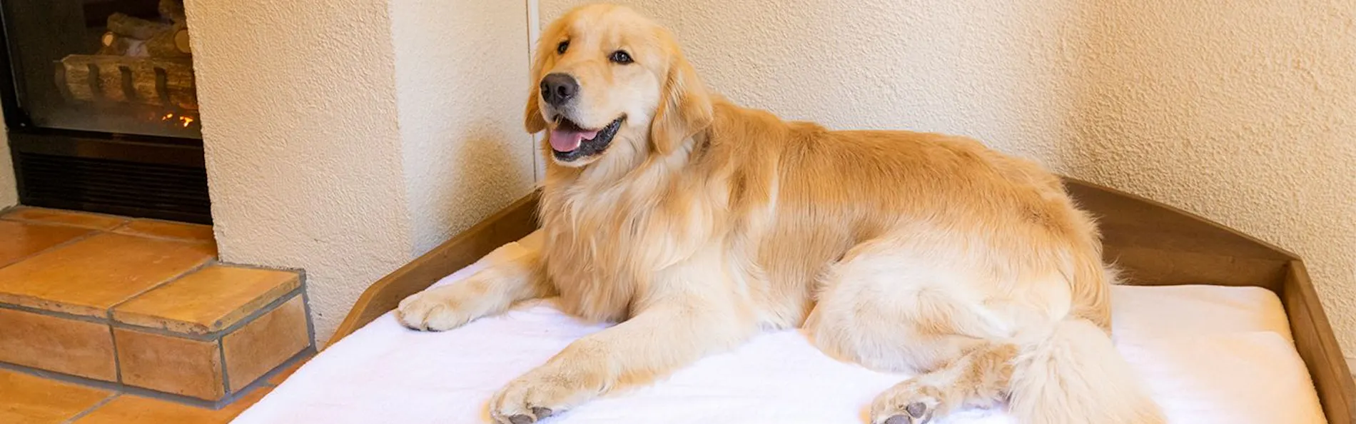 フォレストヴィレッジ