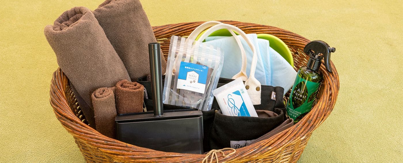 สิ่งอำนวยความสะดวกสำหรับสุนัขของคุณ