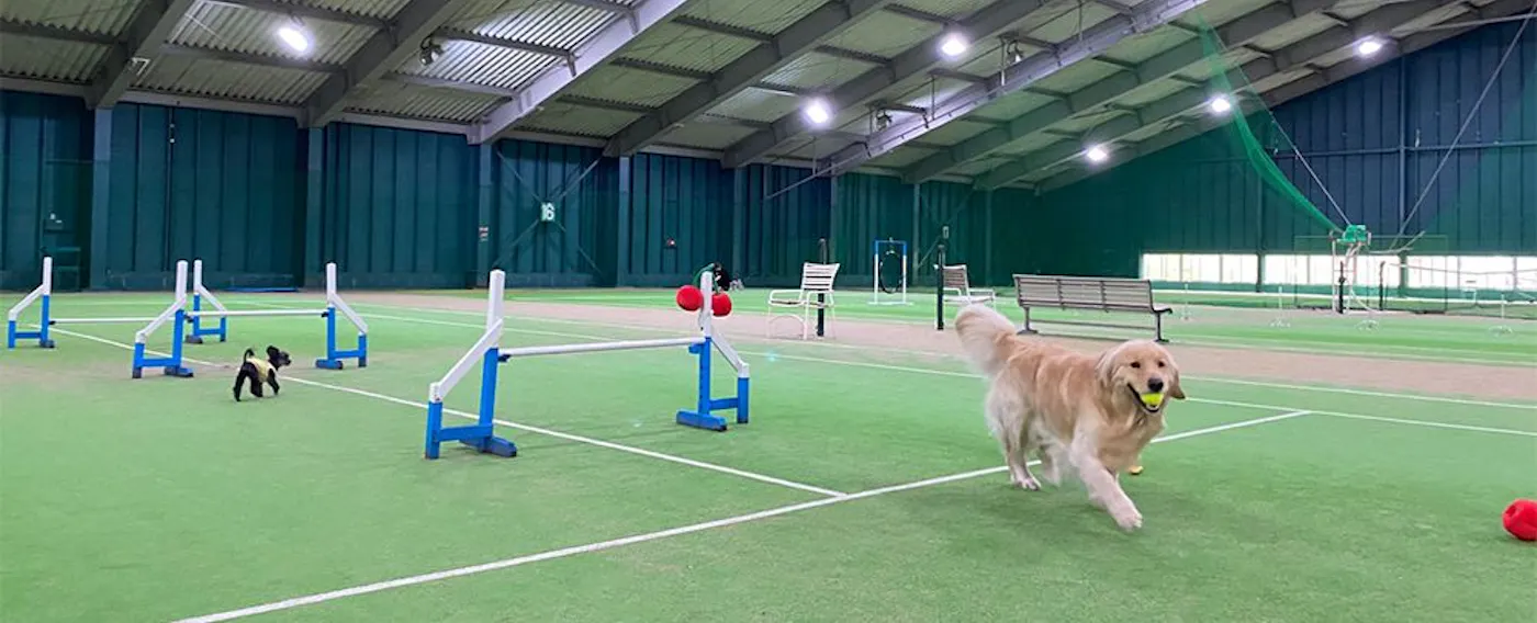 สนามวิ่งสุนัขในร่ม