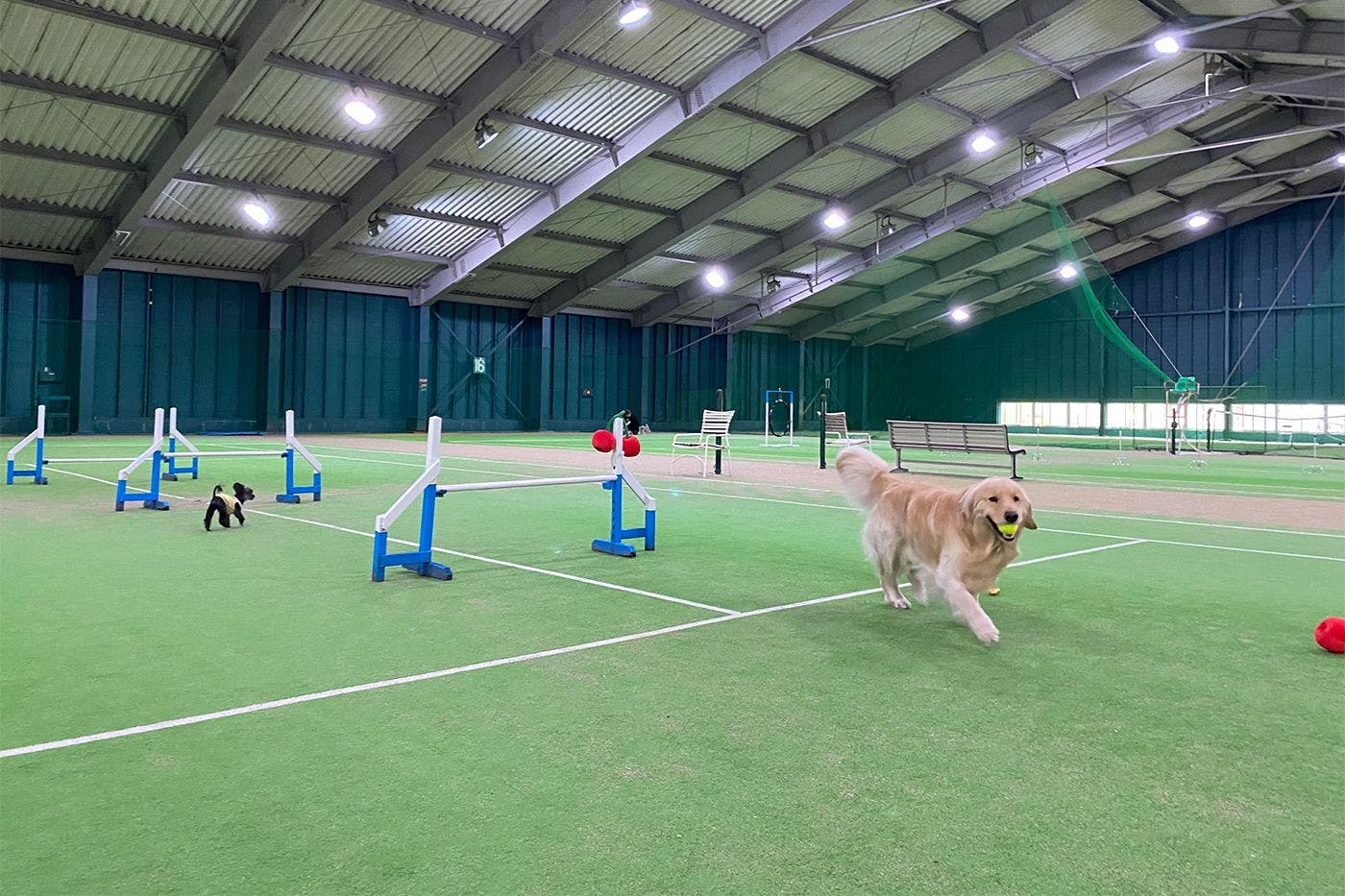 フォレストヴィレッジ