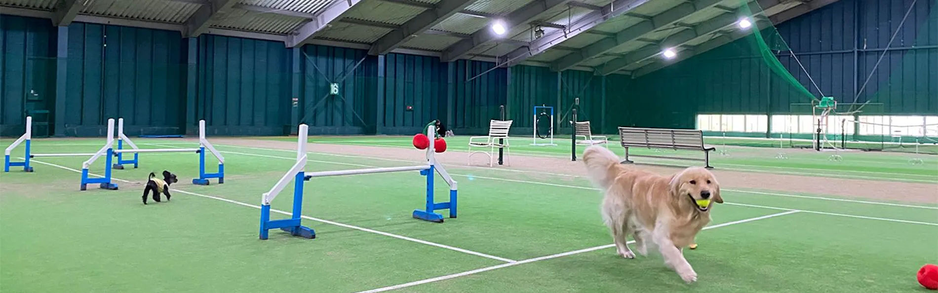 フォレストヴィレッジ