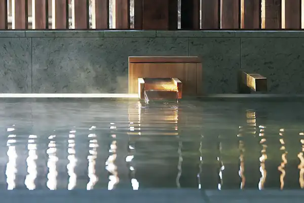 Contoh kamar mandi di dalam kamar tamu.