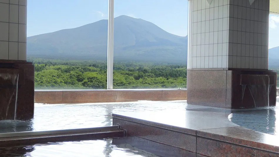 Villa Kita-Karuizawa Elwing