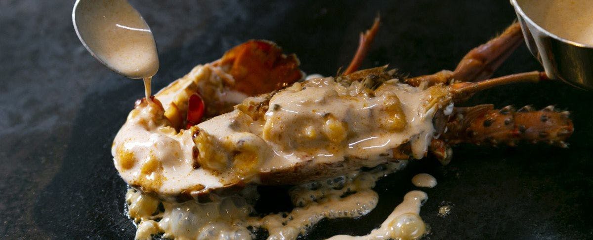 กุ้งมังกร