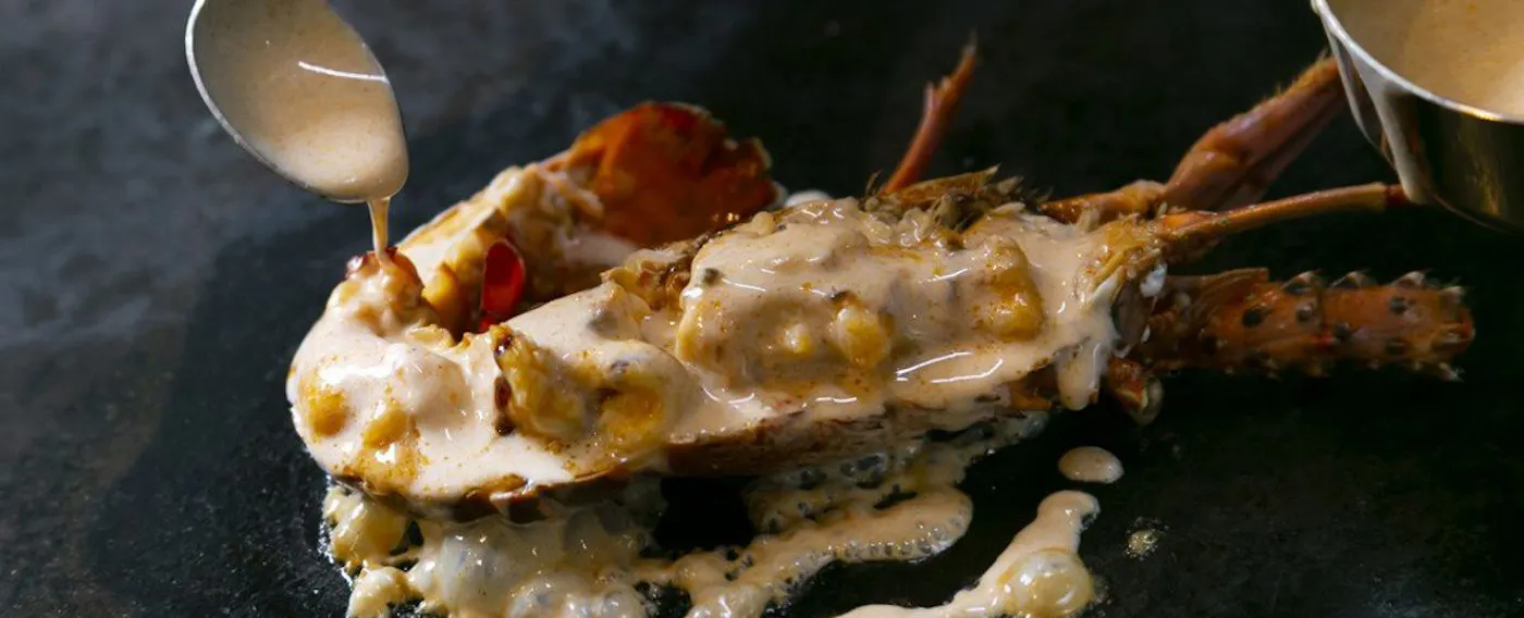 กุ้งมังกร