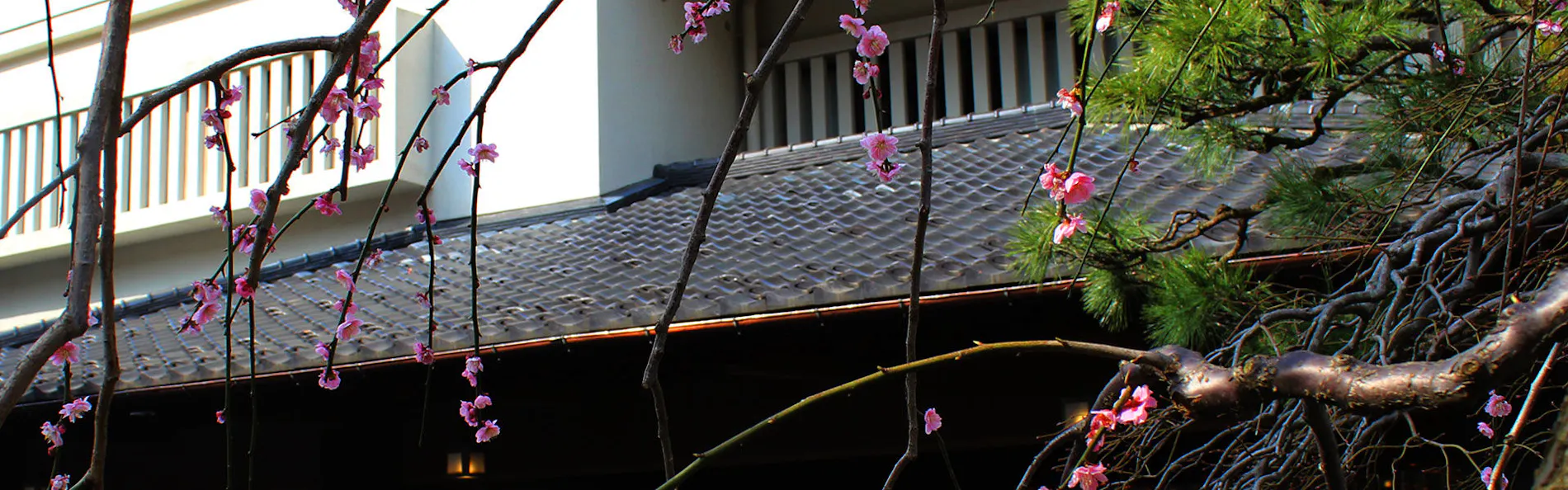 宇奈月温泉 延楽