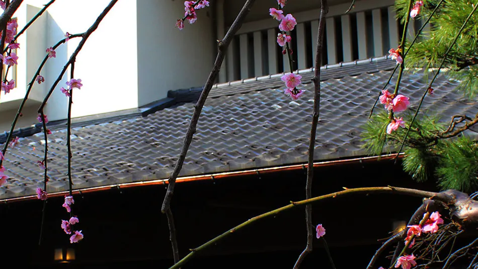 Unazuki Onsen Enraku