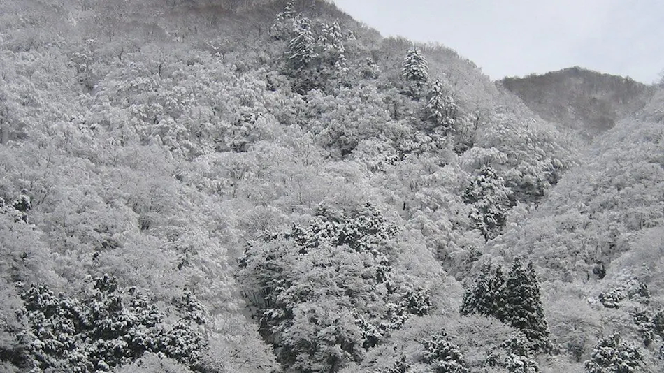 Unazuki Onsen Enraku