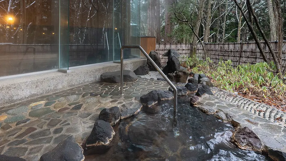 Forest Resort Yamanote Hotel