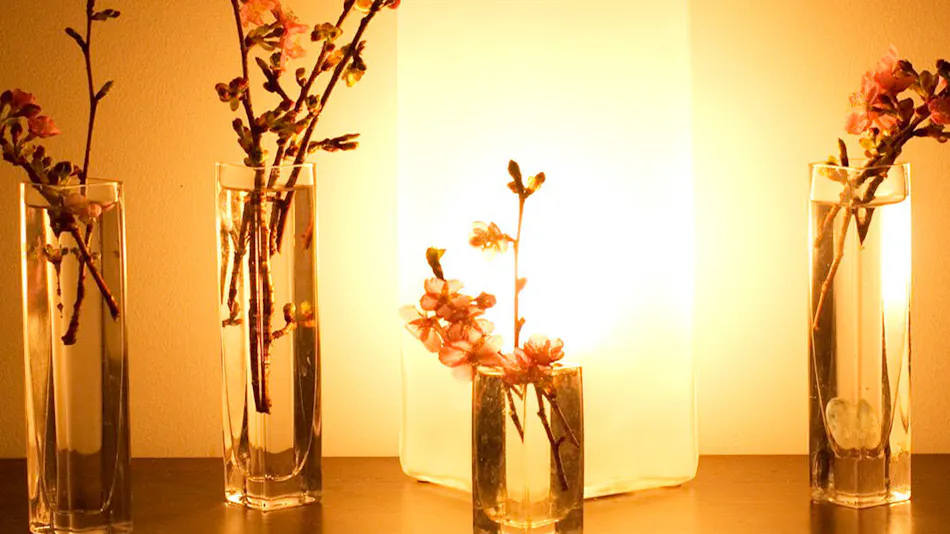 Auberge Hanaki