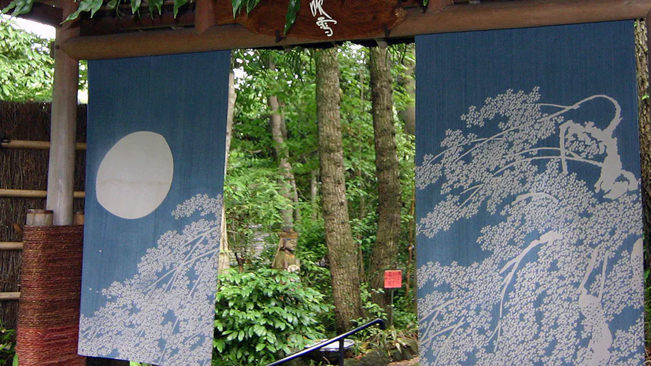 Izu Kogen Jogasaki Onsen Hana Fubuki