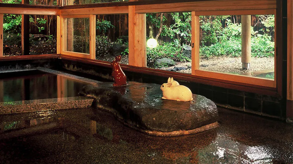 Izu Kogen Jogasaki Onsen Hana Fubuki