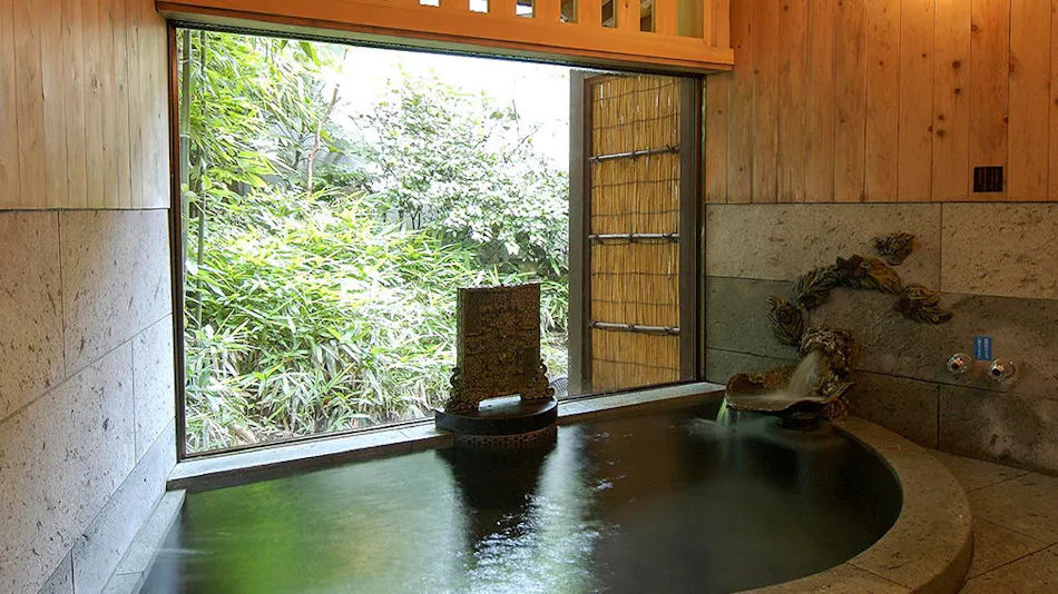 Izu Kogen Jogasaki Onsen Hana Fubuki