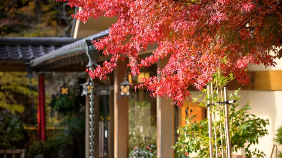 Yunohana Inn