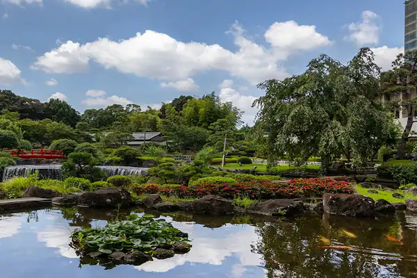 สวนญี่ปุ่น