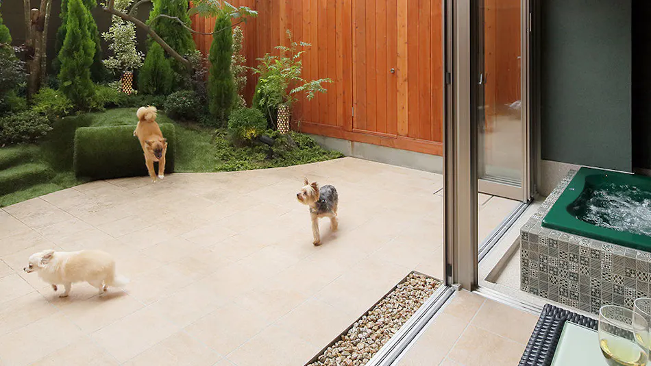 Go-Yutei with Dog