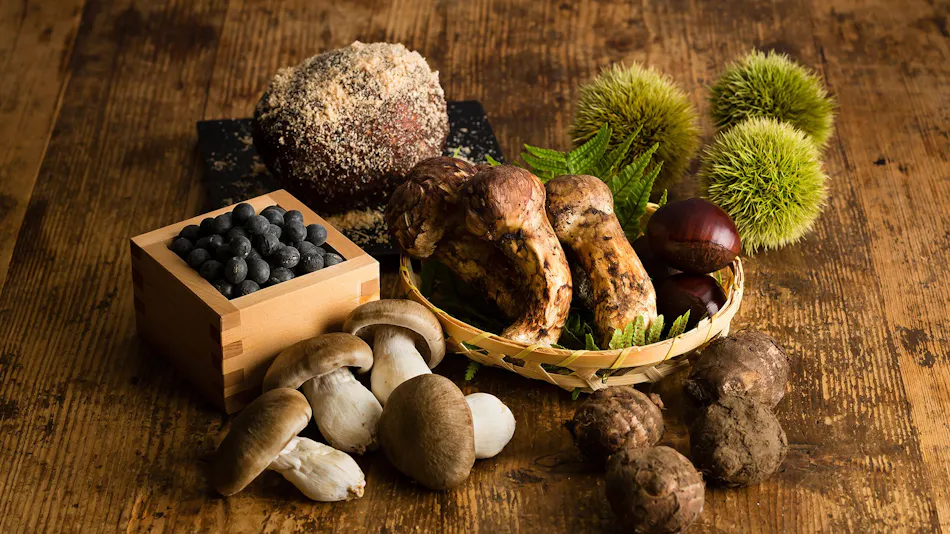 NIPPONIA Sasayama Castle Town Hotel