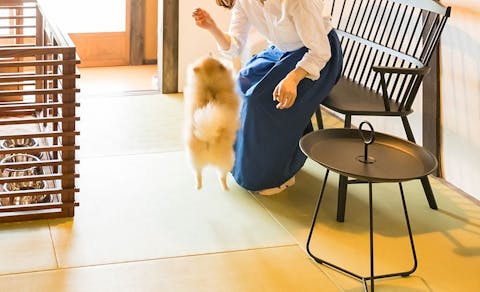 21年最新 兵庫周辺でペットと泊まれる宿ランキング 一休 Com 21年最新 兵庫周辺でペットと泊まれる宿ランキング 一休 Com