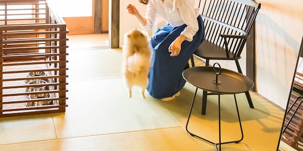 22年最新 近畿 大阪以外 ペットと泊まれる宿 3ページ ランキング 一休 Com 22年最新 近畿 大阪以外 ペットと泊まれる宿 3ページ ランキング 一休 Com