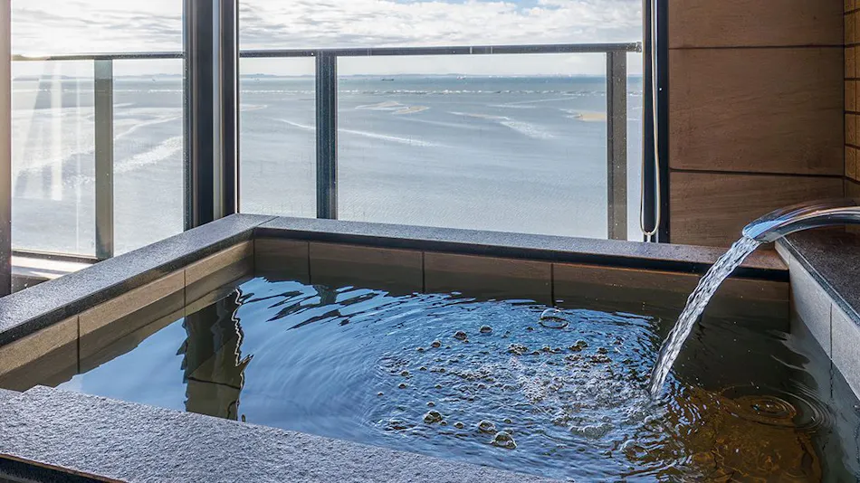 Ryugujo Spa Hotel Mikazuki Fujimitei