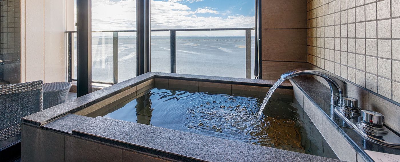 Ryugujo Spa Hotel Mikazuki Fujimitei