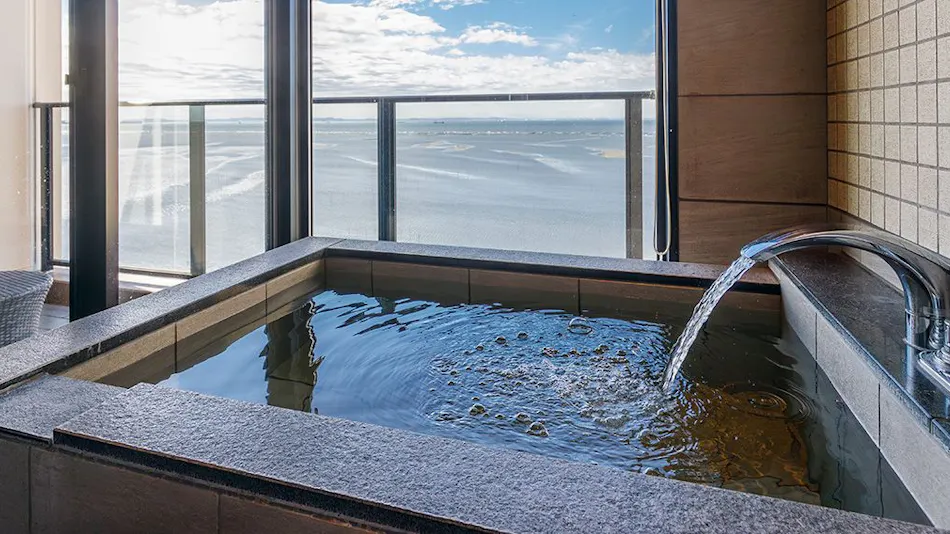 Ryugujo Spa Hotel Mikazuki Fujimitei