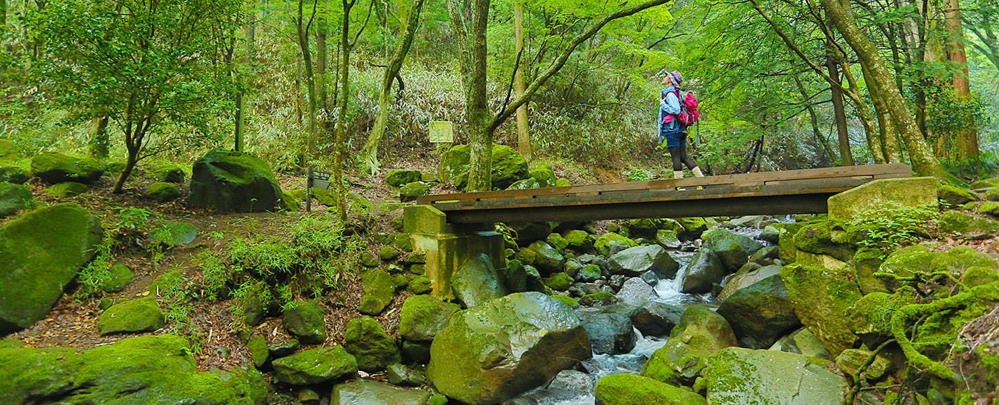 アクティビティ