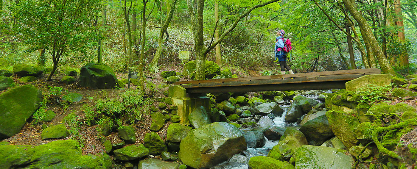 アクティビティ