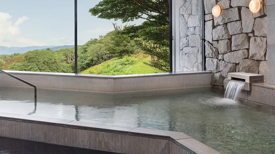 Izu Marriott Hotel Shuzenji